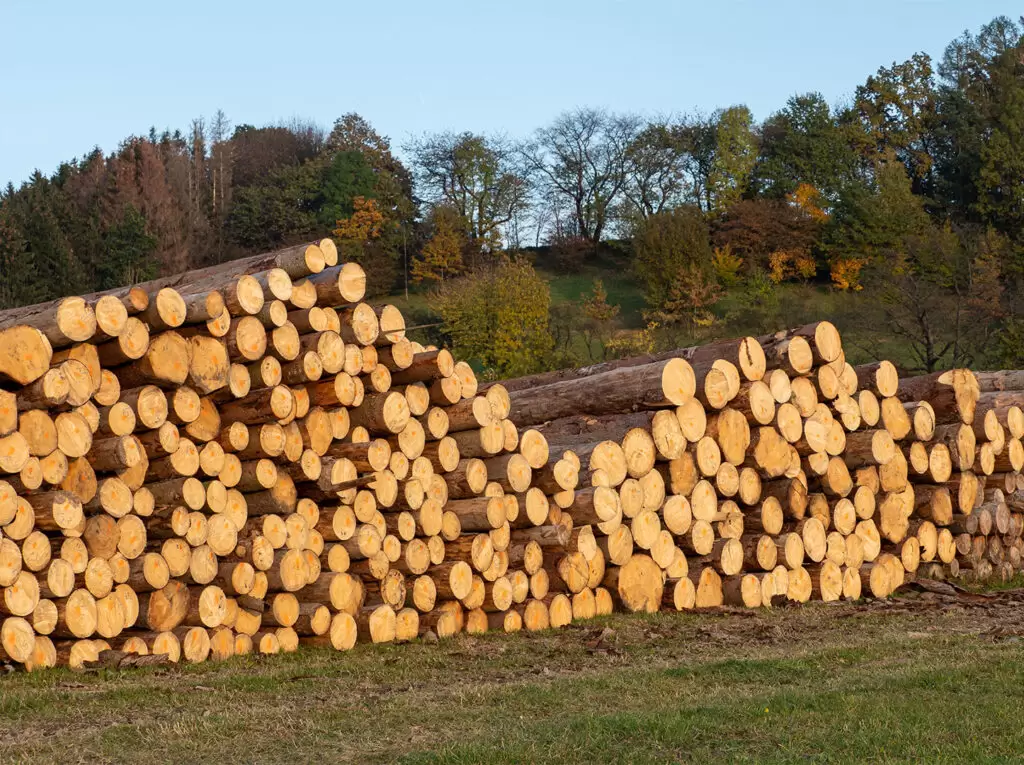 Projection of Modern Technology: Wood Processing Machinery and Their Contribution to the Forest Industry Image